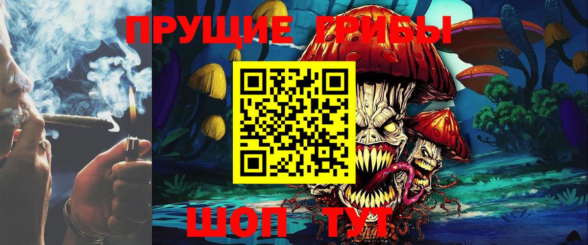 Ростов Великий  Псилоцибиновые грибы прущие грибы  Вход с VPN 