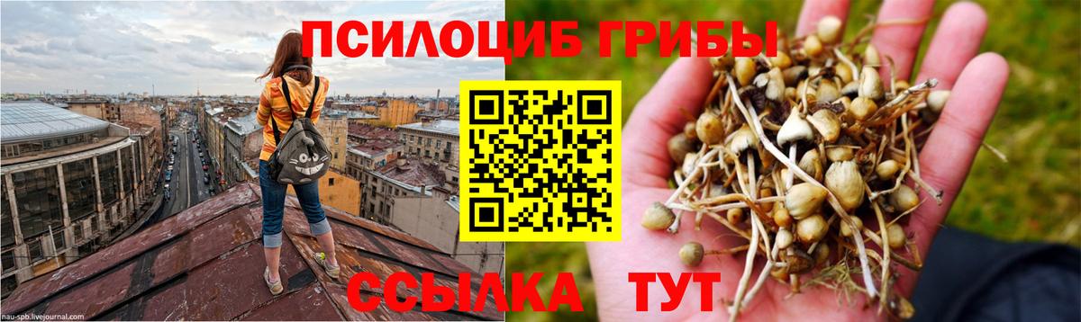 Галлюциногенные грибы ЛСД Ростов Великий
